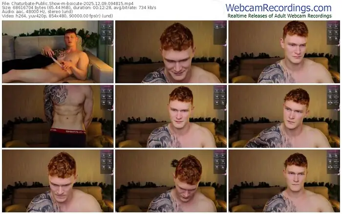 2025/12/09/chaturbate-boicute-09-48-15