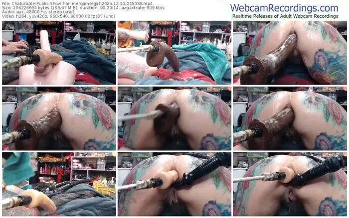 2025/12/10/chaturbate-animergamergirl-04-50-36