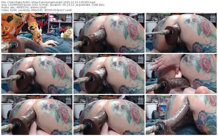 2025/12/10/chaturbate-animergamergirl-10-53-03