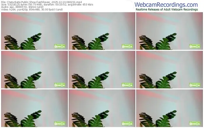 2025/12/10/chaturbate-ashllovee_-08-02-31