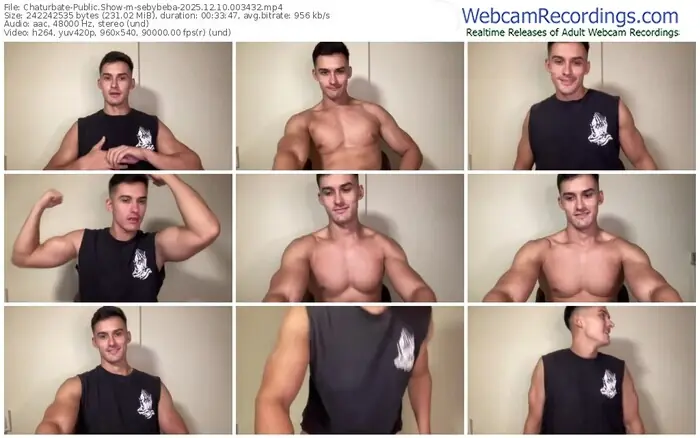 2025/12/10/chaturbate-sebybeba-00-34-32