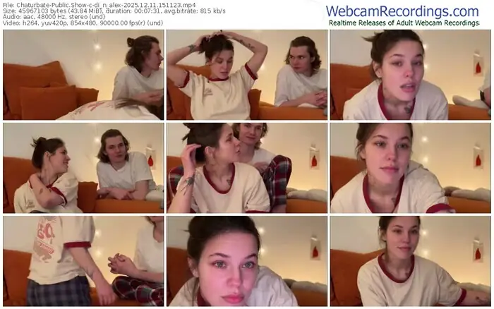 2025/12/11/chaturbate-di_n_alex-15-11-23