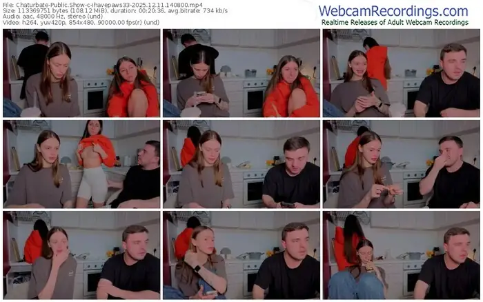 2025/12/11/chaturbate-ihavepaws33-14-08-00