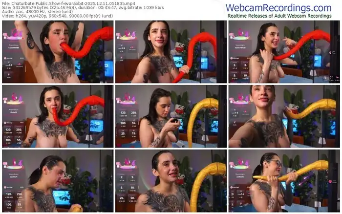 2025/12/11/chaturbate-evarabbit-05-18-35
