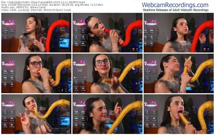 2025/12/11/chaturbate-evarabbit-08-39-50