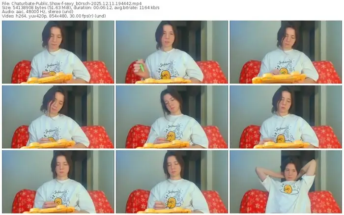 2025/12/11/chaturbate-sexy_b0rsch-19-44-42