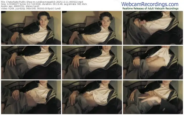 2025/12/11/chaturbate-cuteboymegadick-06-00-22