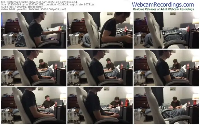 2025/12/11/chaturbate-d_dart-22-30-56