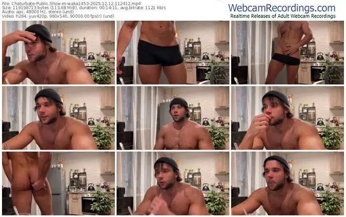 2025/12/12/chaturbate-waka1453-11-24-12