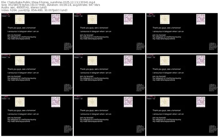 2025/12/13/chaturbate-honey_sunshine-13-33-41