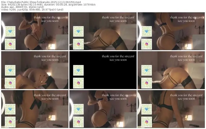 2025/12/13/chaturbate-inkanuko-09-22-56