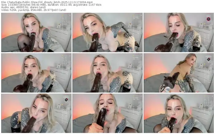 2025/12/13/chaturbate-lil_shouty_bitch-17-30-34