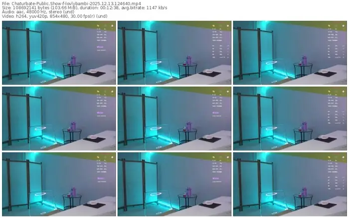 2025/12/13/chaturbate-lovlybambi-12-46-40