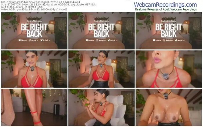 2025/12/13/chaturbate-meegan1-14-40-34