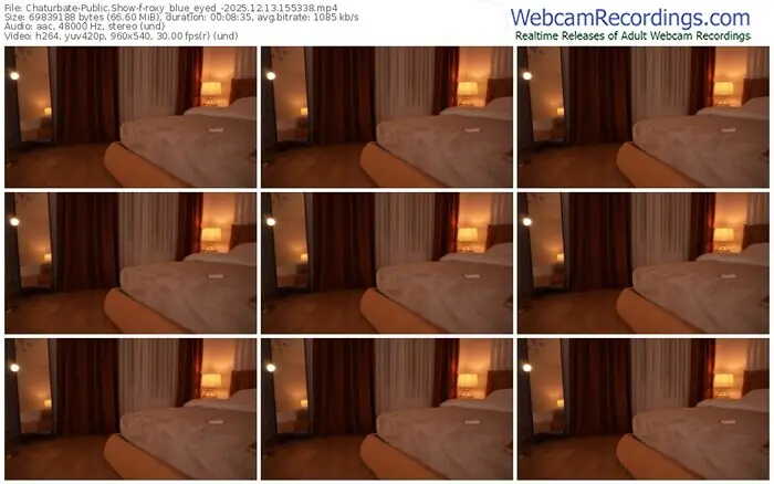 2025/12/13/chaturbate-roxy_blue_eyed_-15-53-38