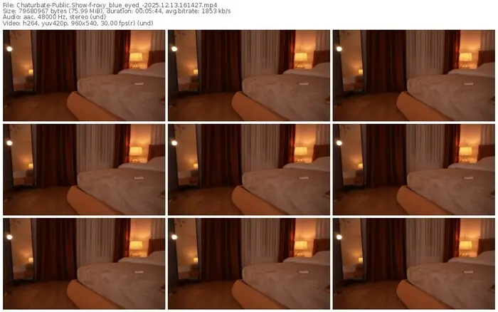 2025/12/13/chaturbate-roxy_blue_eyed_-16-14-27