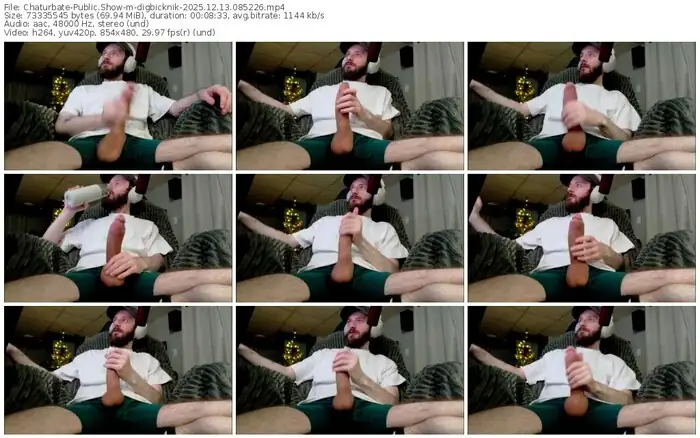2025/12/13/chaturbate-digbicknik-08-52-26