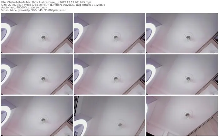 2025/12/13/chaturbate-alicerosee___-03-19-49