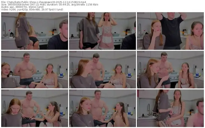 2025/12/14/chaturbate-ihavepaws33-15-38-19
