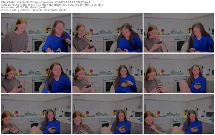 2025/12/14/chaturbate-ihavepaws33-16-39-27