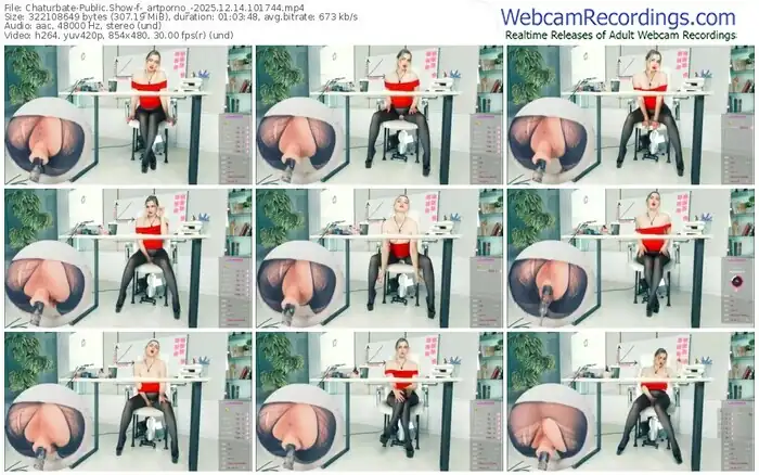 2025/12/14/chaturbate-_artporno_-10-17-44