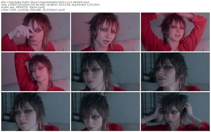 2025/12/14/chaturbate-chaturbatable-08-29-05