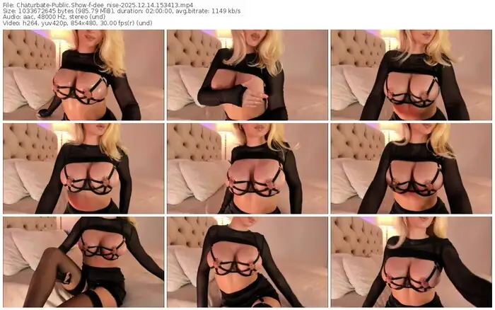 2025/12/14/chaturbate-dee_nise-15-34-13