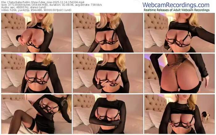 2025/12/14/chaturbate-dee_nise-15-43-34