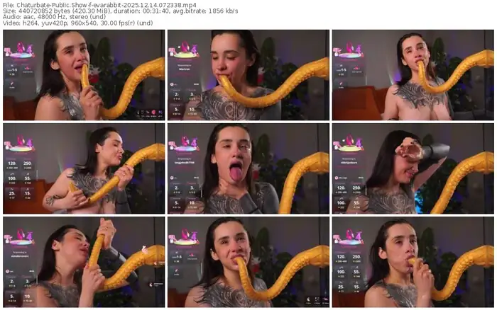 2025/12/14/chaturbate-evarabbit-07-23-38