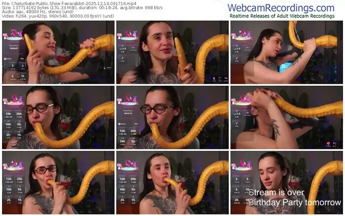 2025/12/14/chaturbate-evarabbit-09-17-16