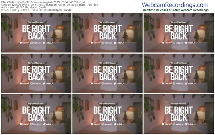 2025/12/14/chaturbate-meegan1-14-55-32