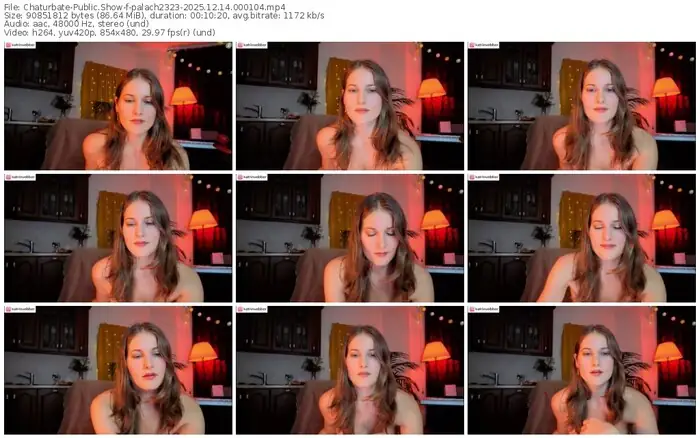 2025/12/14/chaturbate-palach2323-00-01-04
