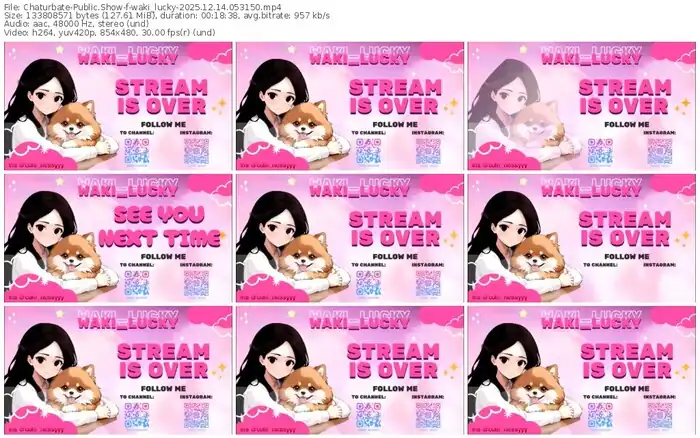 2025/12/14/chaturbate-waki_lucky-05-31-50