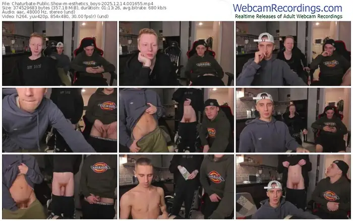 2025/12/14/chaturbate-esthetics_boys-00-16-55