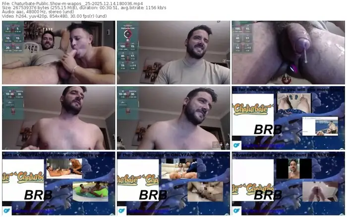 2025/12/14/chaturbate-wapos__25-18-00-36