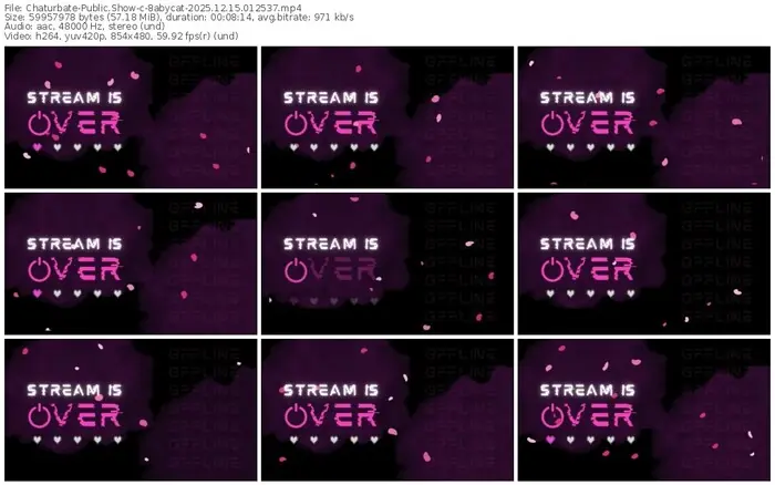 2025/12/15/chaturbate-8abycat-01-25-37