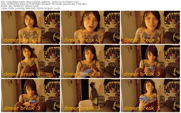 2025/12/15/chaturbate-alone_together_-02-48-47