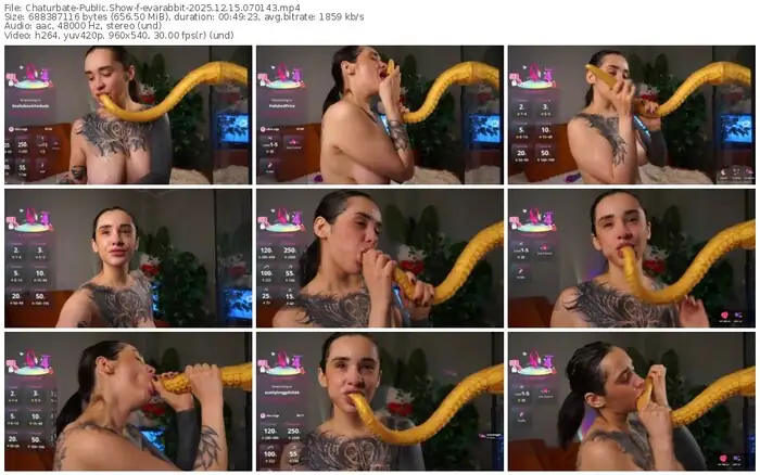 2025/12/15/chaturbate-evarabbit-07-01-43