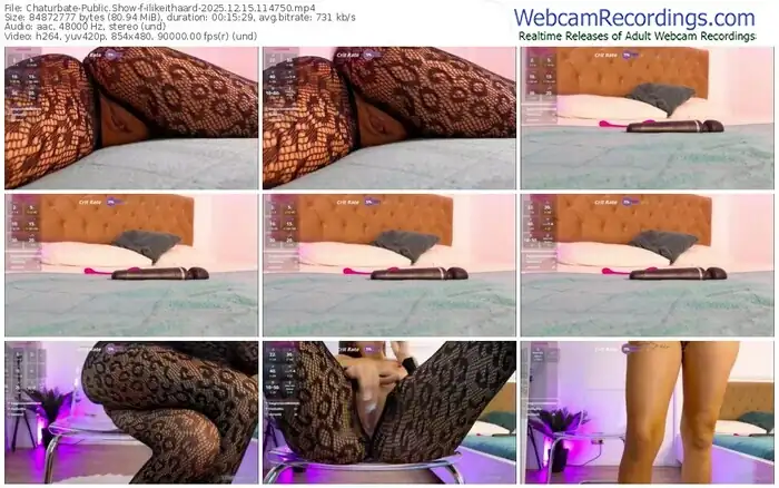 2025/12/15/chaturbate-ilikeithaard-11-47-50