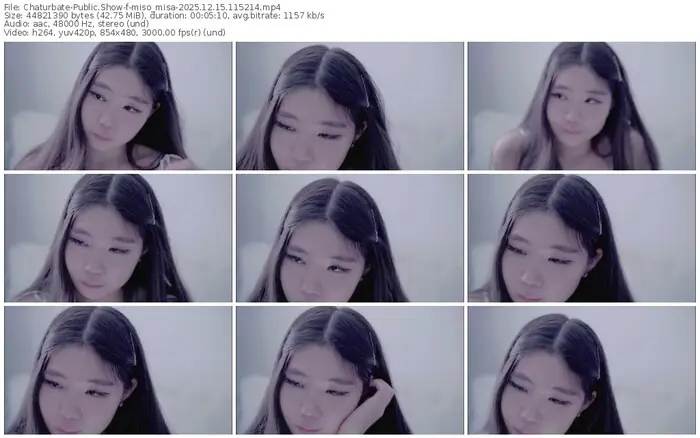 2025/12/15/chaturbate-miso_misa-11-52-14