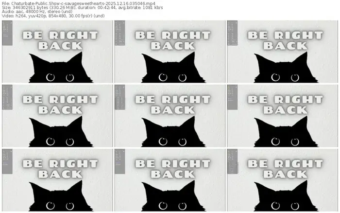 2025/12/16/chaturbate-savagesweethearts-03-50-46