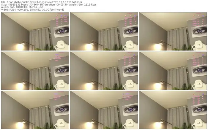 2025/12/16/chaturbate-meganiex-05-03-47