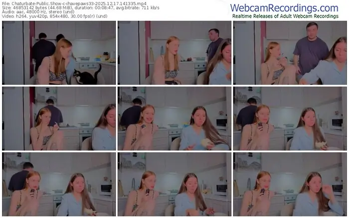 2025/12/17/chaturbate-ihavepaws33-14-13-35