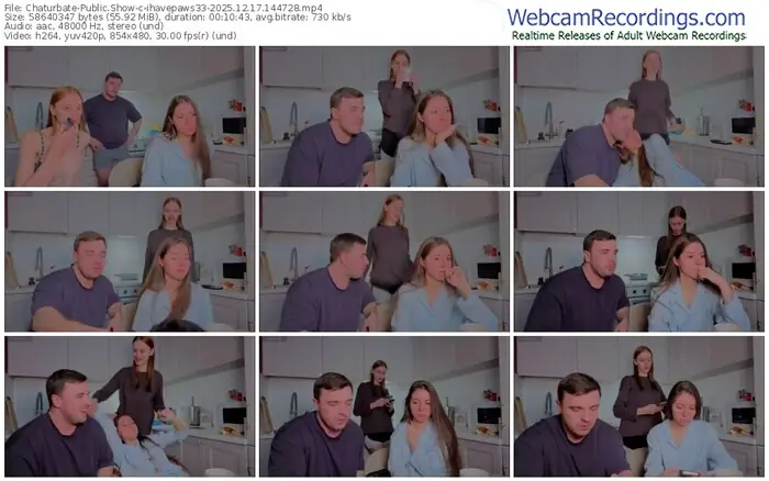 2025/12/17/chaturbate-ihavepaws33-14-47-28