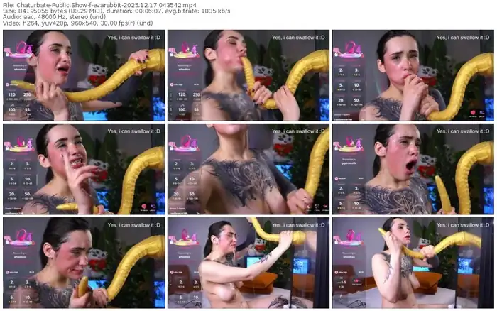 2025/12/17/chaturbate-evarabbit-04-35-42