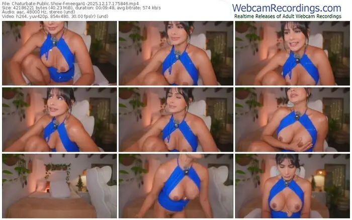 2025/12/17/chaturbate-meegan1-17-58-46