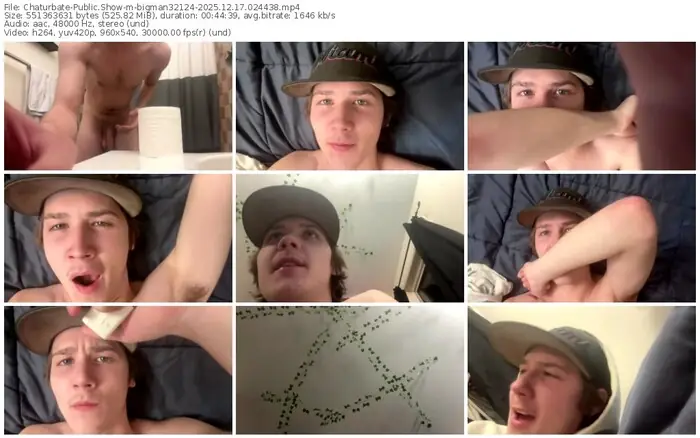 2025/12/17/chaturbate-bigman32124-02-44-38