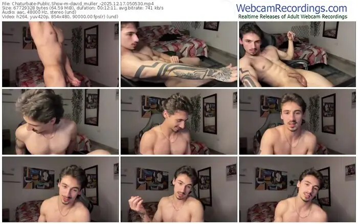 2025/12/17/chaturbate-david_muller_-05-05-30