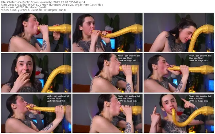 2025/12/18/chaturbate-evarabbit-05-57-42