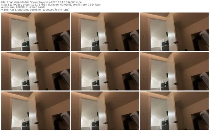 2025/12/18/chaturbate-fayefinly-09-40-03